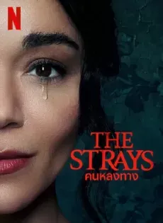 ดูหนังออนไลน์ฟรี คนหลงทาง The Strays (2023) | Netflix